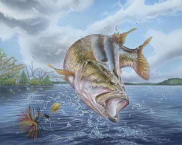 fishing-nevada