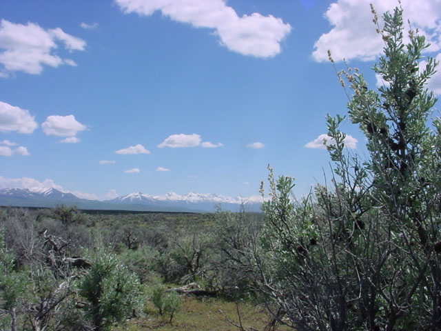 crescent-valley-nevada-land-for-sale