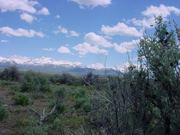 crescent-valley-nevada-land-for-sale