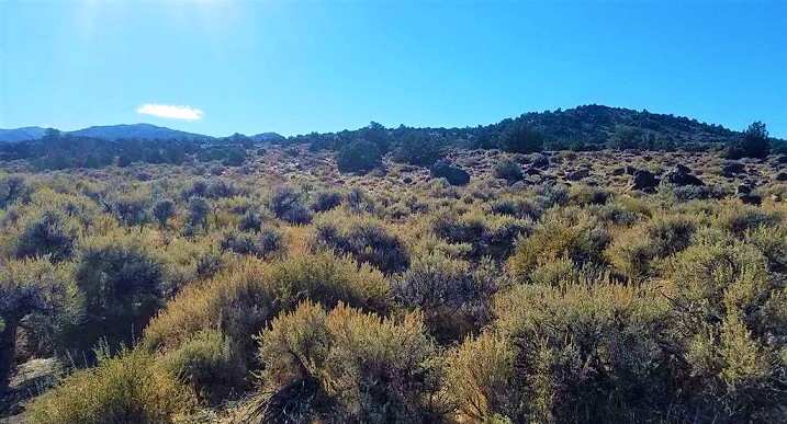 elko-county-nevada-land-for-sale