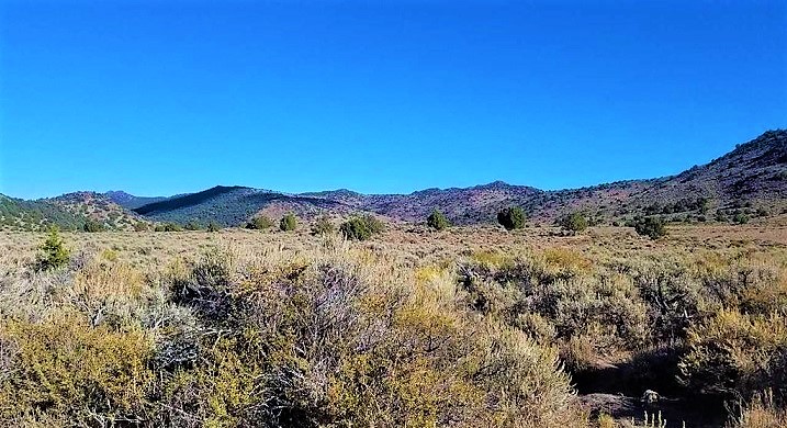 nevada-land-for-sale