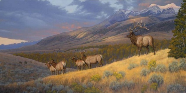 elk-nevada-land