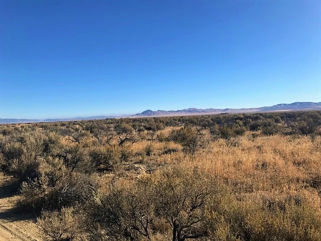 paradise-ranchos-nevada-land-for-sale