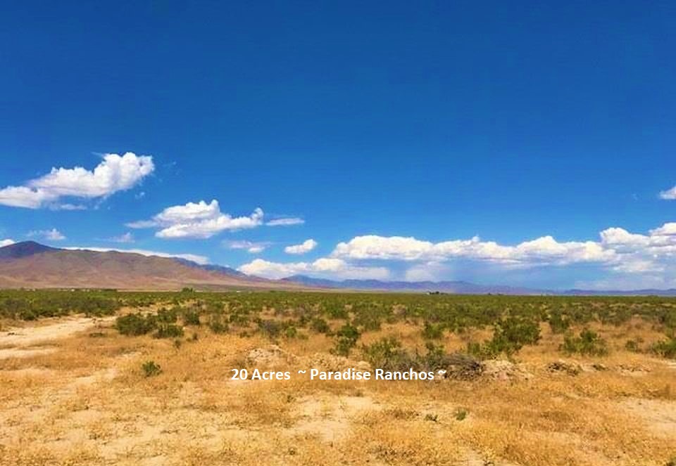 3 seller-financed-land-nevada