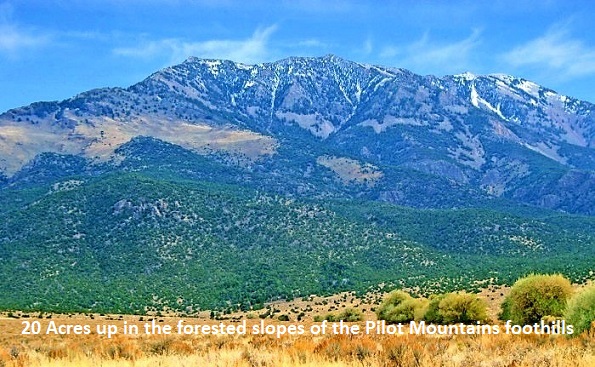 Pilot Mountains pilot-mountain-nevada