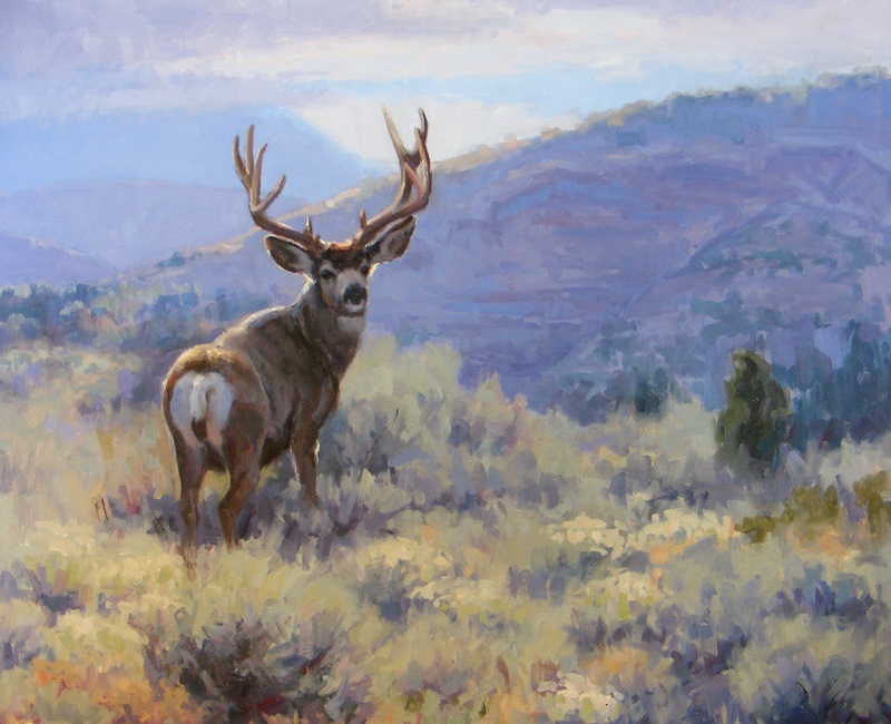big mule deer. nevada-mule-deer