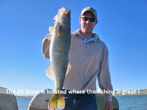 trophy Walleye 4 nevada-fishing-land-for-sale