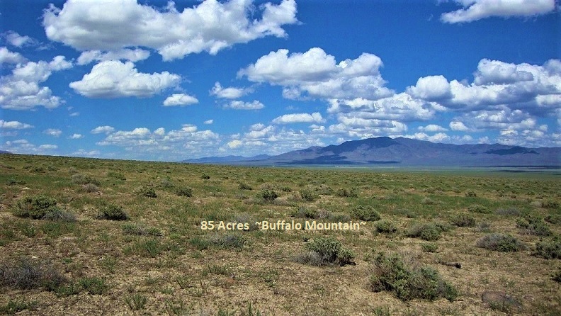 1 nevada-land-for-sale