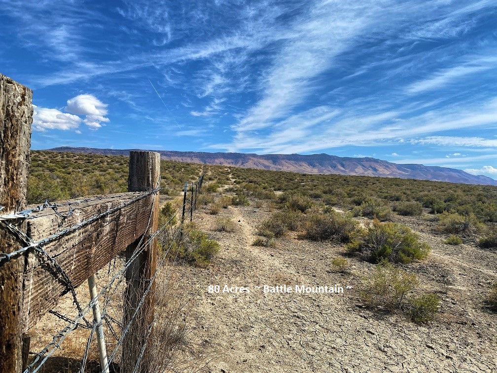 80AC 5 nevada-ranch-land-for-sale