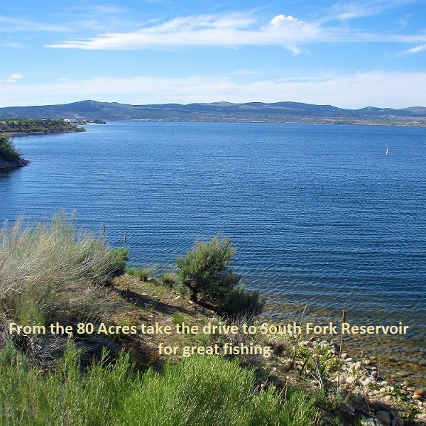 OLYMPUS DIGITAL CAMERA nevada-fishing-land-for-sale