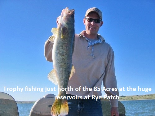 trophy Walleye 4 - Copy nevada-fishing-land-for-sale