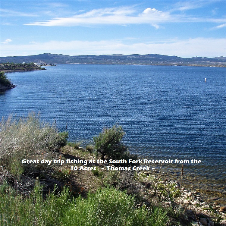 OLYMPUS DIGITAL CAMERA south-fork-reservoir-fishing-nevada