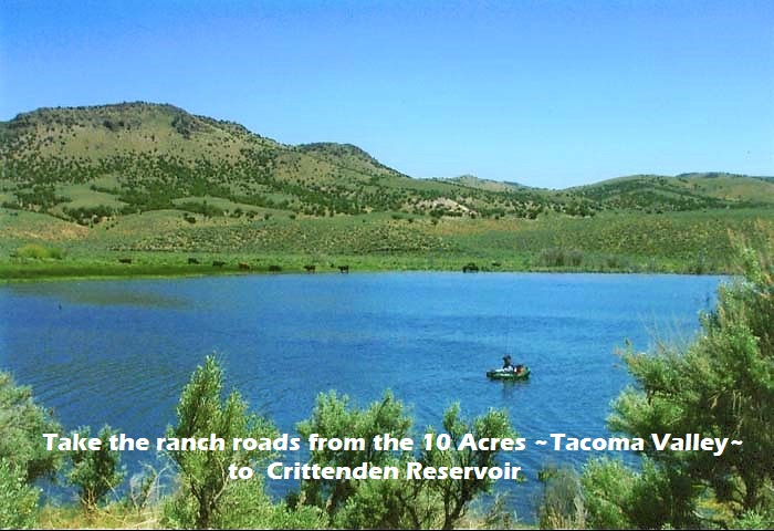 Crittenden Reservoir nevada-fishing-land-for-sale