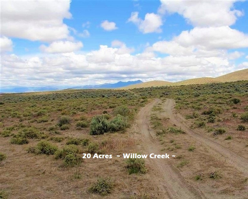 .5 20-acres-winnemucca-nevada-for-sale