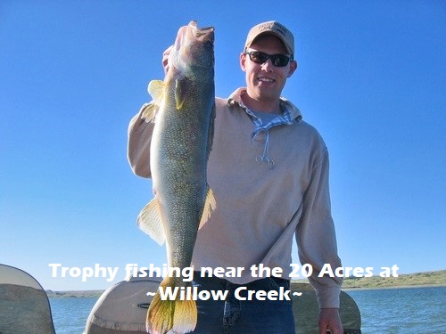 trophy Walleye rye-patch-fishing-land-for-sale