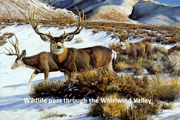 80-10 nevada-deer-land-for-sale